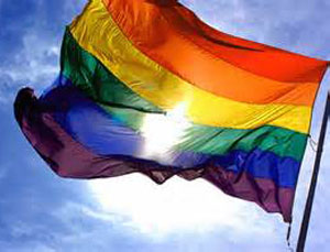 PACE called on Russia to reject the law on “homosexual propaganda” PACE called on Russia to reject the law on “homosexual propaganda”
