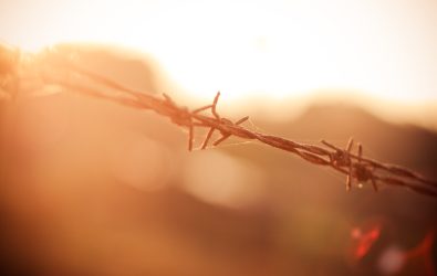 CSP WG on the Fight Against Torture: Brief Overview of Key Trends in Enforcing Prohibition of Torture