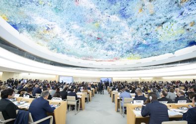 Call for inputs: Report on the participation of civil society organisations pursuing expressions of international solidarity through transnational, international, and regional networks