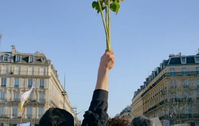 THE SUNFLOWER DECLARATION