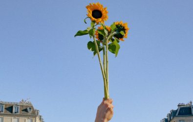 The Sunflower Declaration A call to action to protect human rights defenders at risk